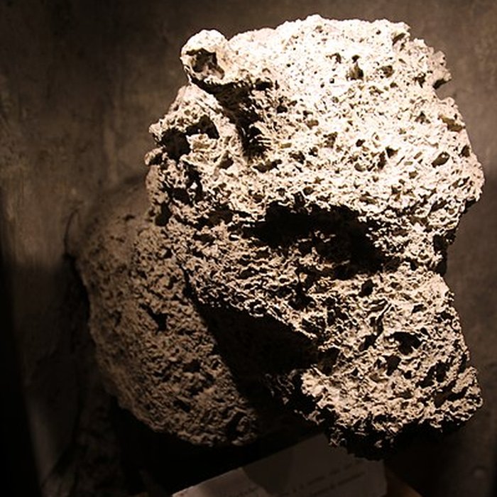 Photo de Collégiale Saint-André de Grenoble