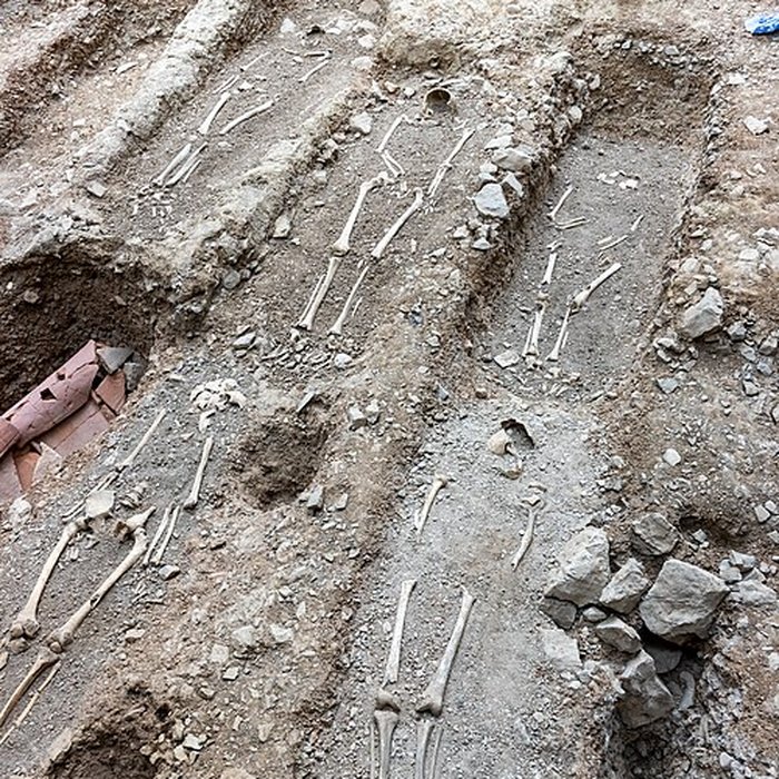 Photo de Collégiale Saint-André de Grenoble