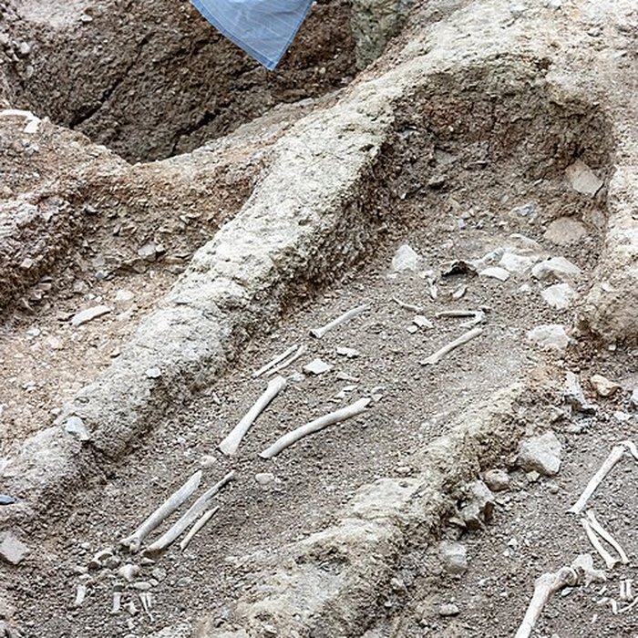 Photo de Collégiale Saint-André de Grenoble