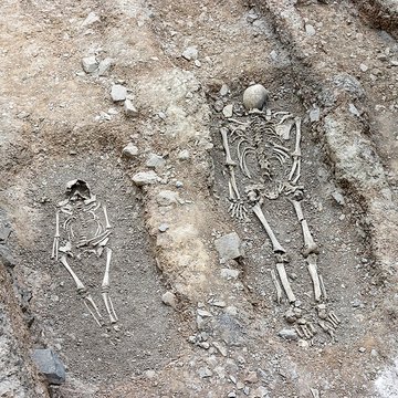 Collégiale Saint-André de Grenoble 