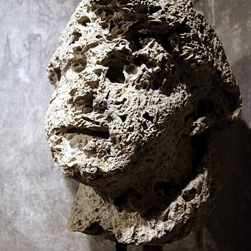 Collégiale Saint-André de Grenoble 