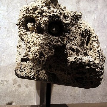 Collégiale Saint-André de Grenoble 