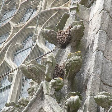 Collégiale Saint-Aubin de Guérande