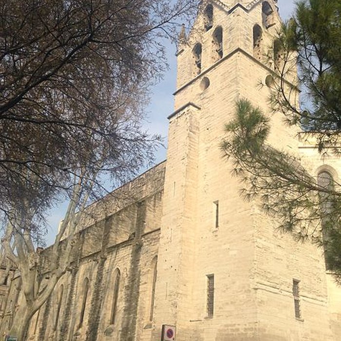 Photo de Collégiale Saint-Didier dAvignon 