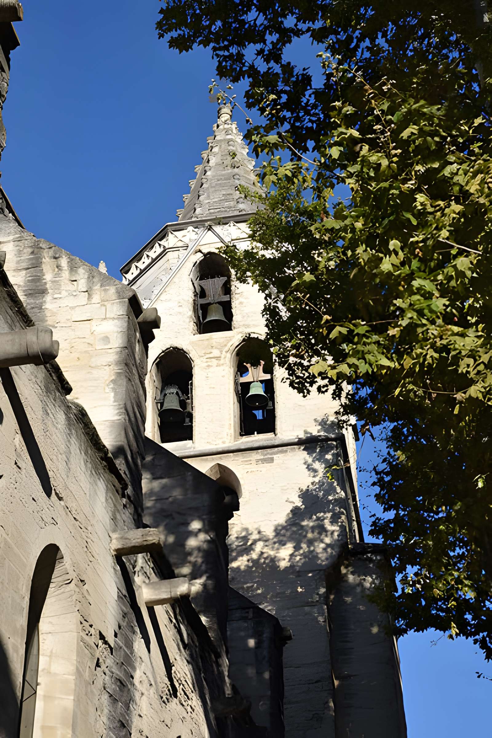 Collégiale Saint-Didier d'Avignon 
