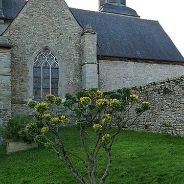 Collégiale Sainte-Marie-Madeleine de Champeaux