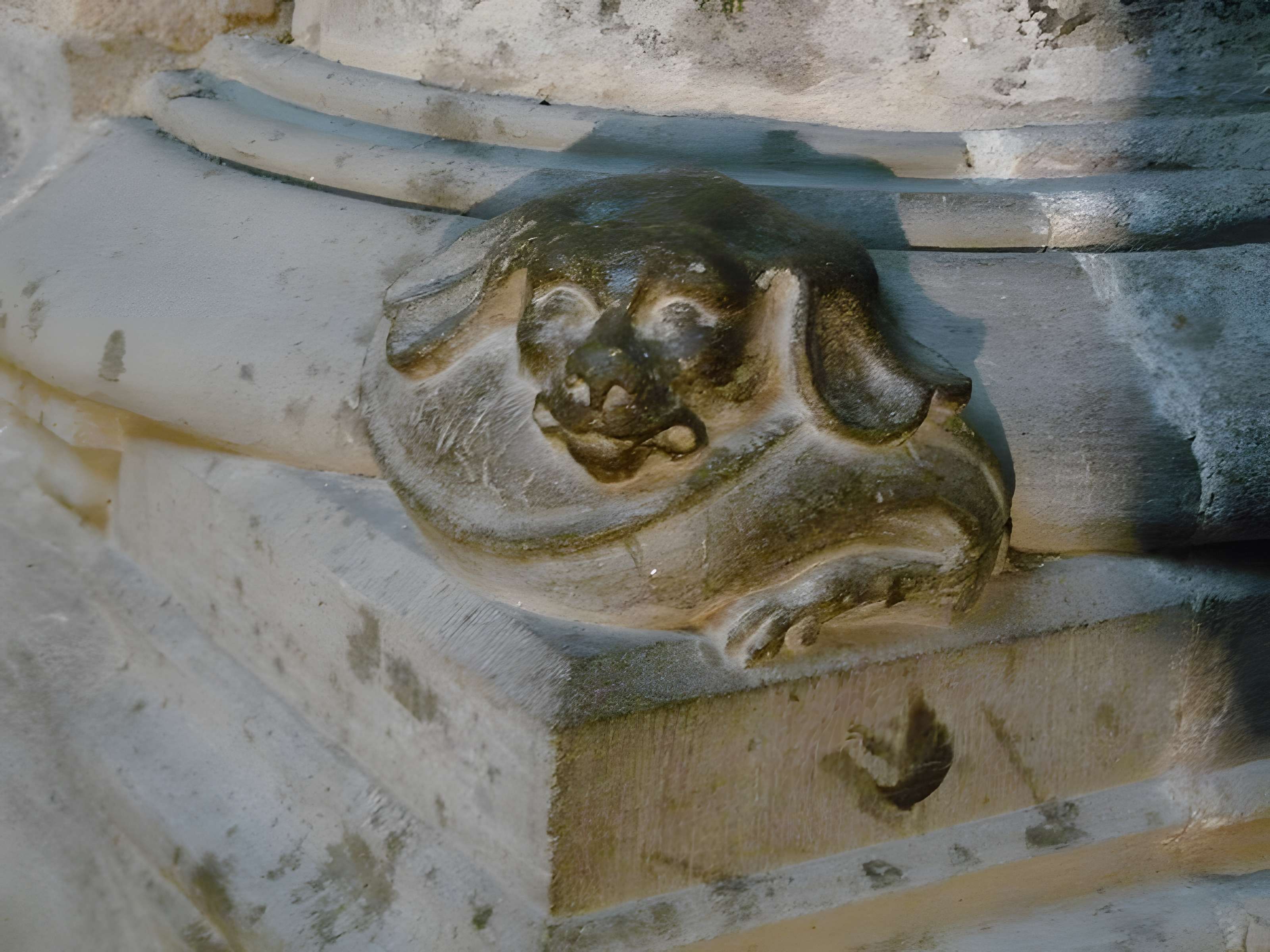 Cathédrale Saint-Michel de Carcassonne