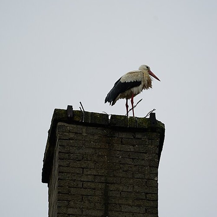 Photo de Collégiale Saint-Gengoult de Toul
