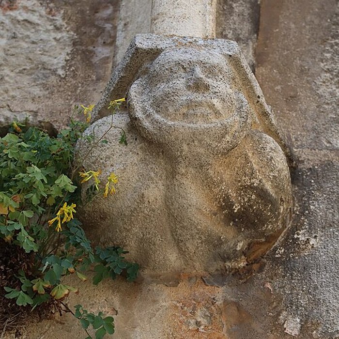 Photo de Collégiale Saint-Hippolyte de Poligny