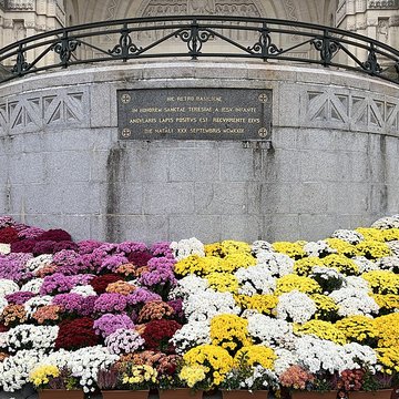 Basilique Sainte-Thérèse