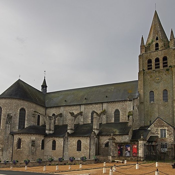 Photo de Collégiale Saint-Liphard de Meung-sur-Loire