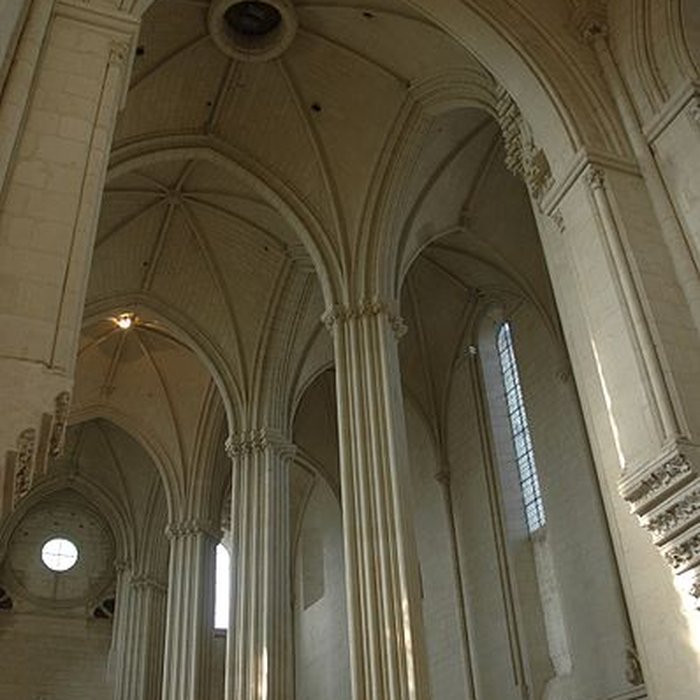 Photo de Collégiale Saint-Martin de Candes-Saint-Martin