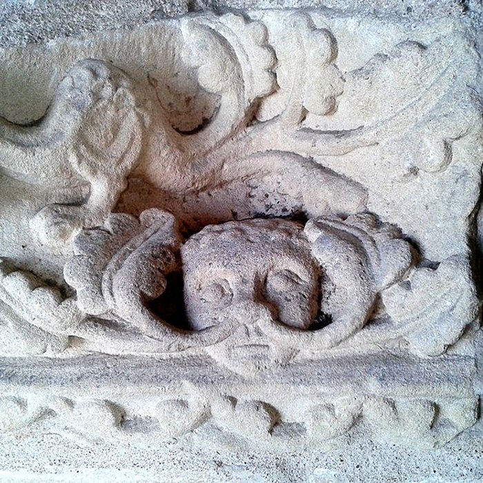 Photo de Collégiale Saint-Martin de Candes-Saint-Martin