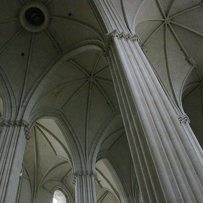 Photo de Collégiale Saint-Martin de Candes-Saint-Martin