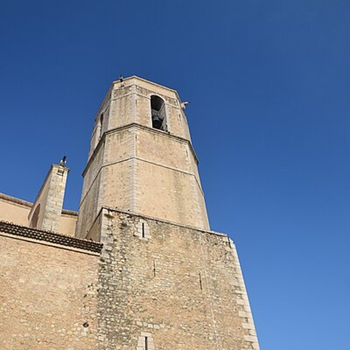 Photo de Collégiale Saint-Martin de Lorgues