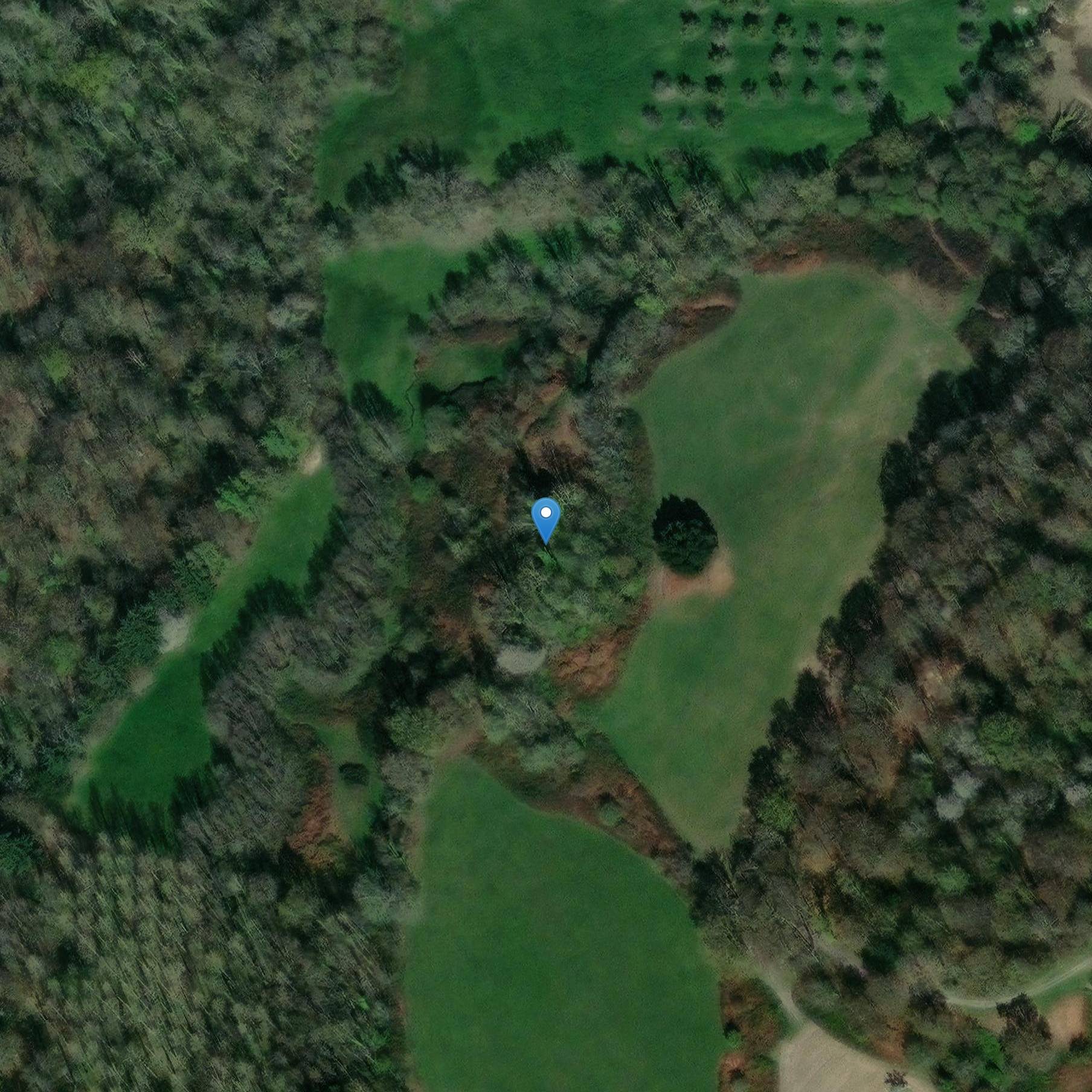 Photo de Muffo feudale