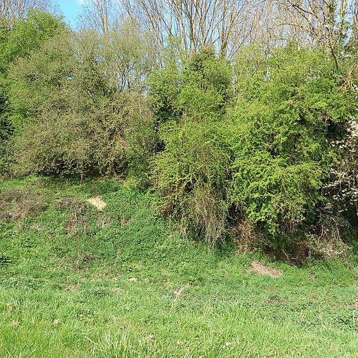 Photo de Théâtre amphithéâtre ou amphithéâtre