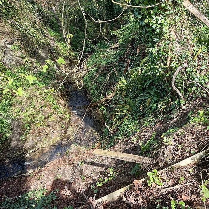 Photo de Théâtre amphithéâtre ou amphithéâtre