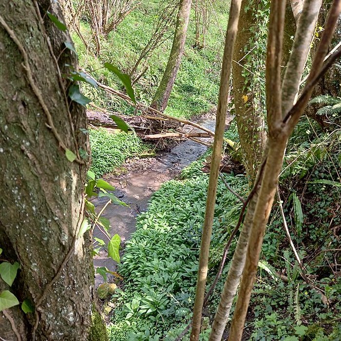 Photo de Théâtre amphithéâtre ou amphithéâtre