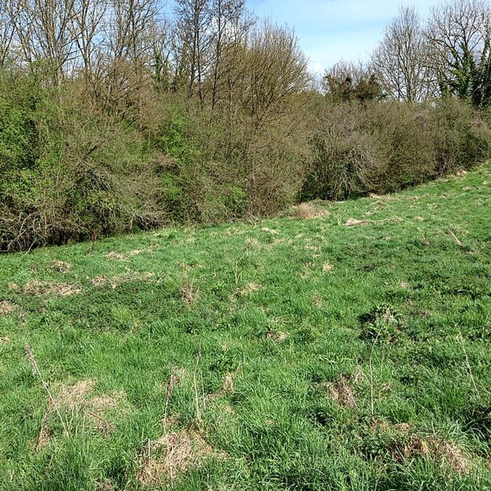 Photo de Théâtre amphithéâtre ou amphithéâtre