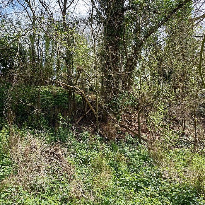 Photo de Théâtre amphithéâtre ou amphithéâtre