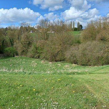 Théâtre amphithéâtre ou amphithéâtre