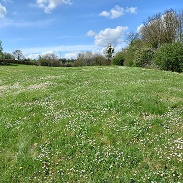 Théâtre amphithéâtre ou amphithéâtre