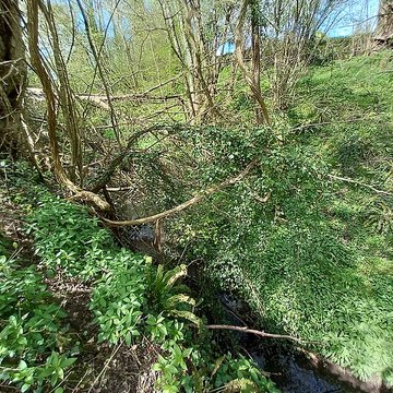 Théâtre amphithéâtre ou amphithéâtre