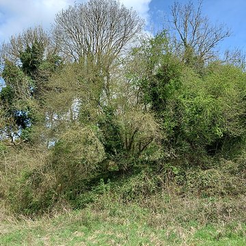 Théâtre amphithéâtre ou amphithéâtre