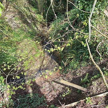 Théâtre amphithéâtre ou amphithéâtre