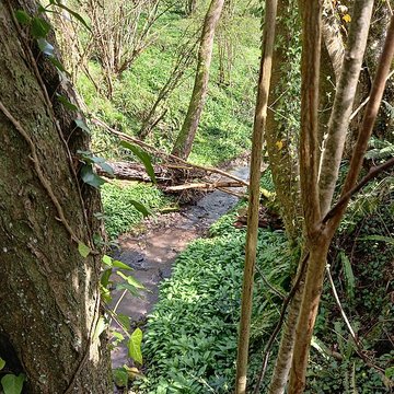 Théâtre amphithéâtre ou amphithéâtre