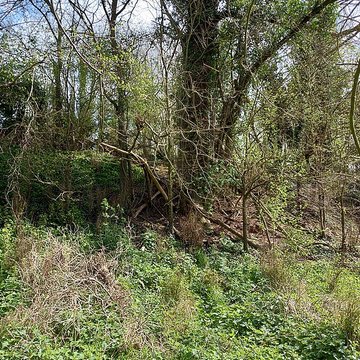 Théâtre amphithéâtre ou amphithéâtre