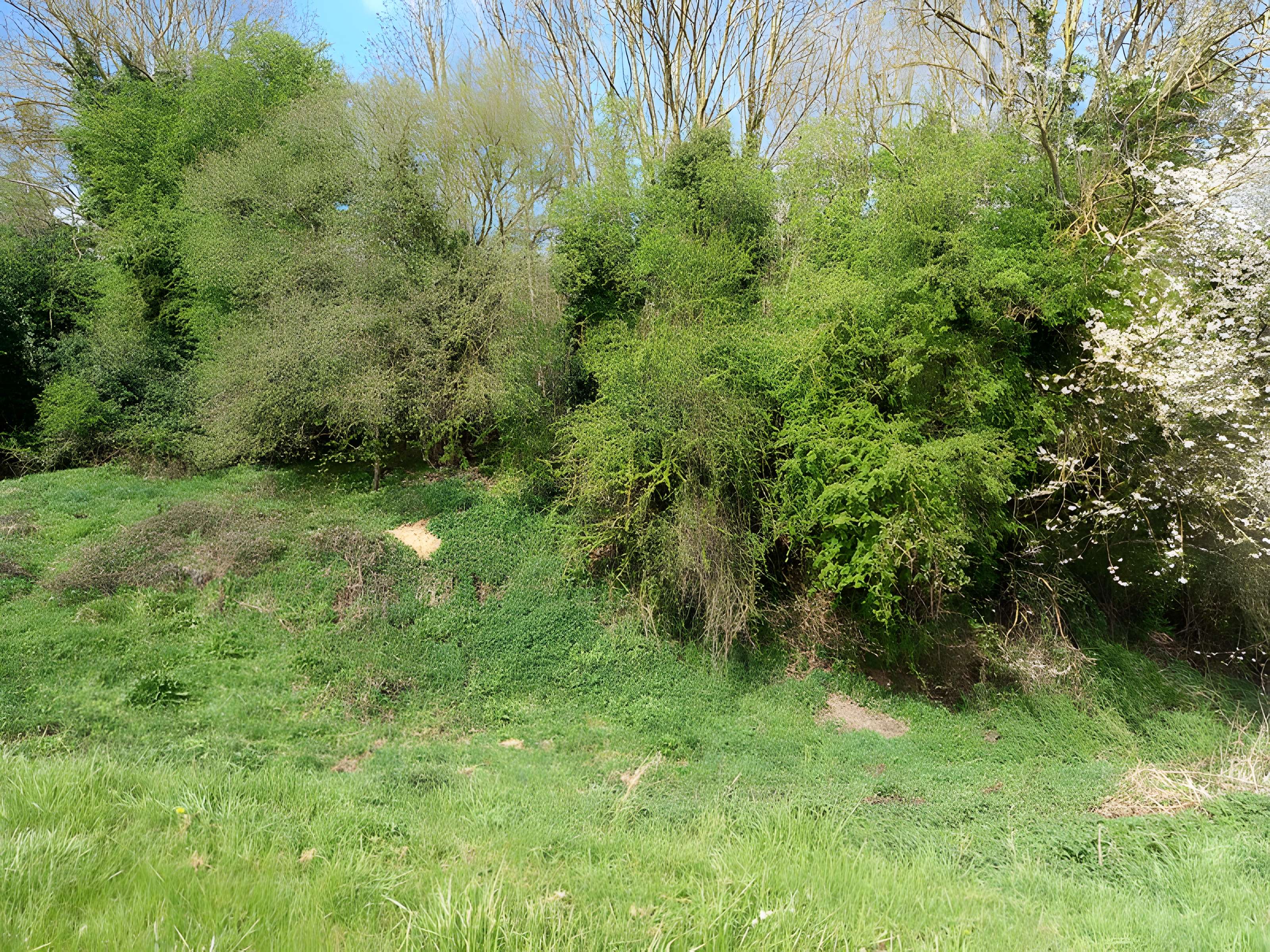 Théâtre amphithéâtre ou amphithéâtre