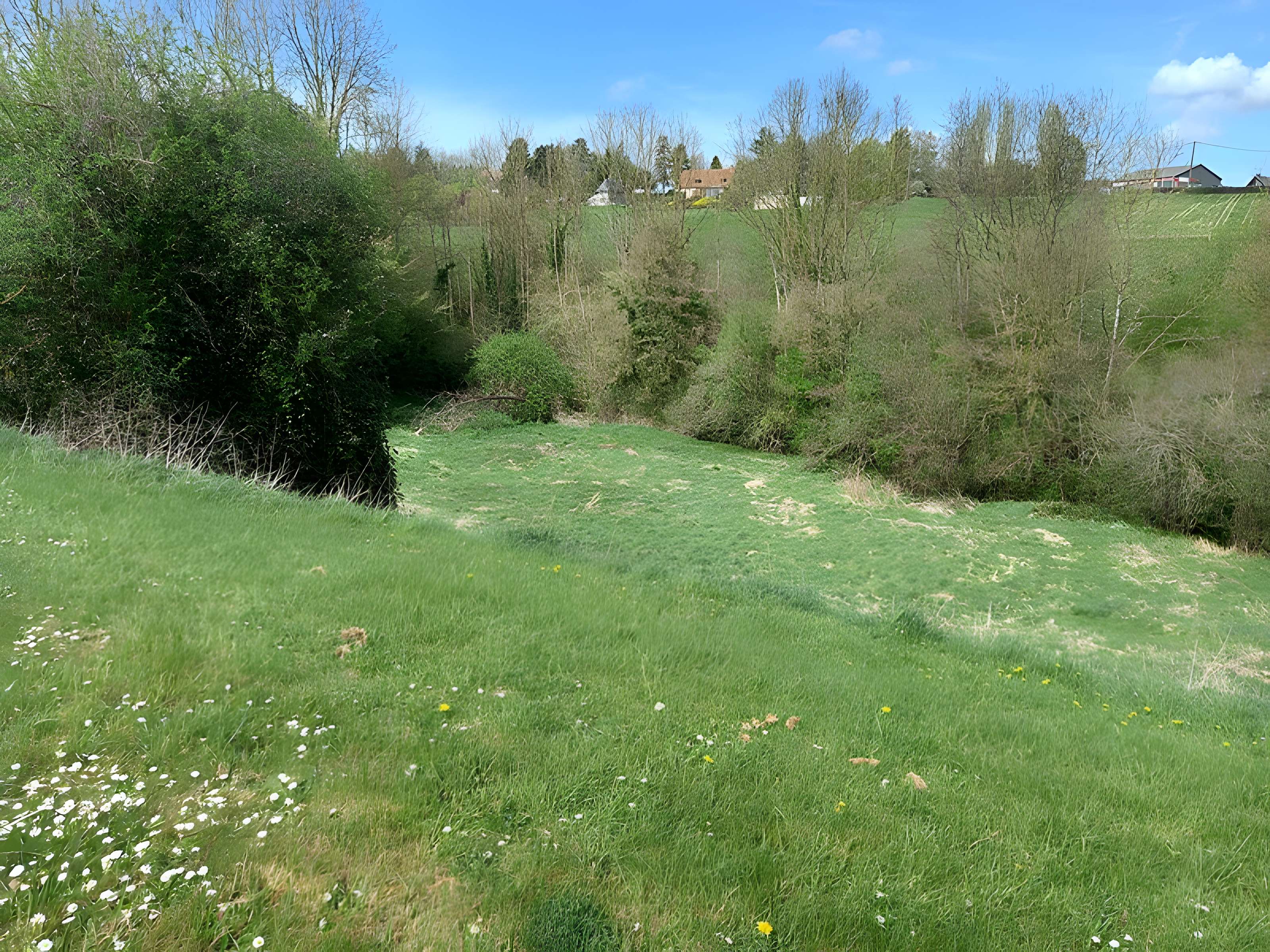 Théâtre amphithéâtre ou amphithéâtre