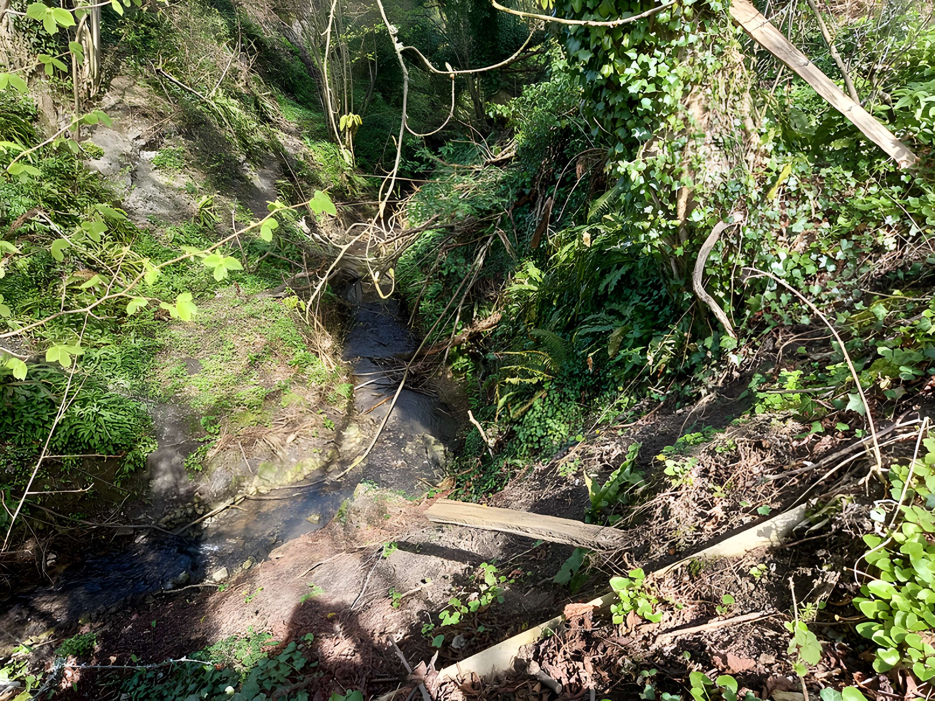 Théâtre amphithéâtre ou amphithéâtre