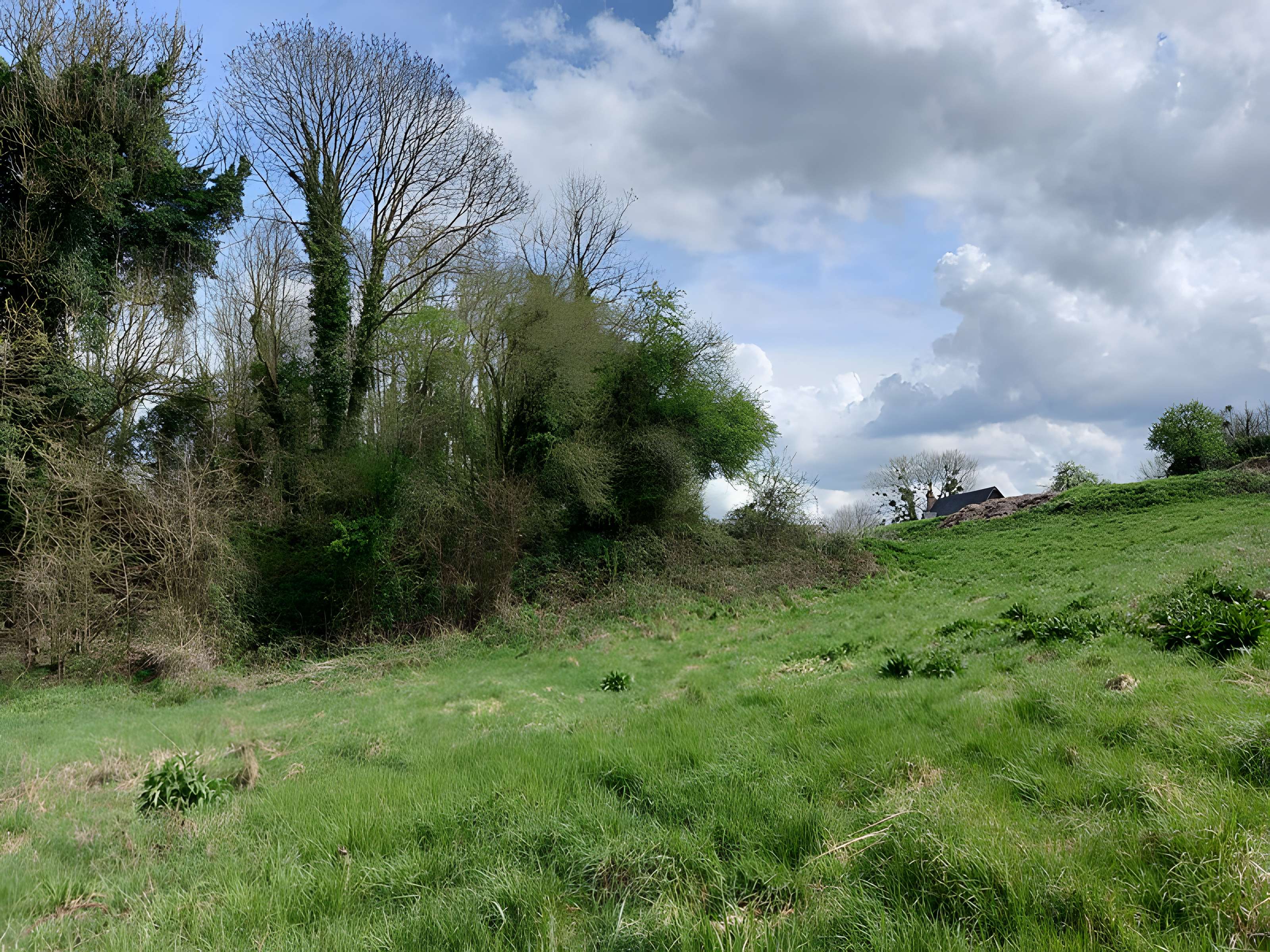 Théâtre amphithéâtre ou amphithéâtre