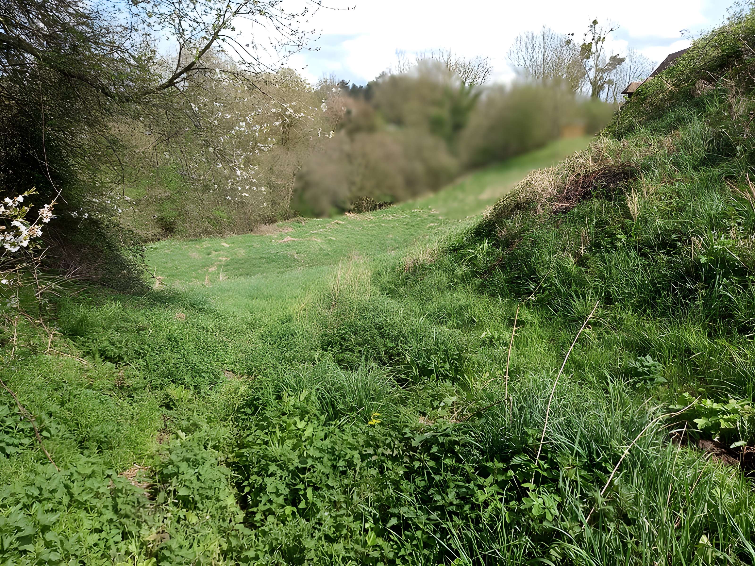 Théâtre amphithéâtre ou amphithéâtre