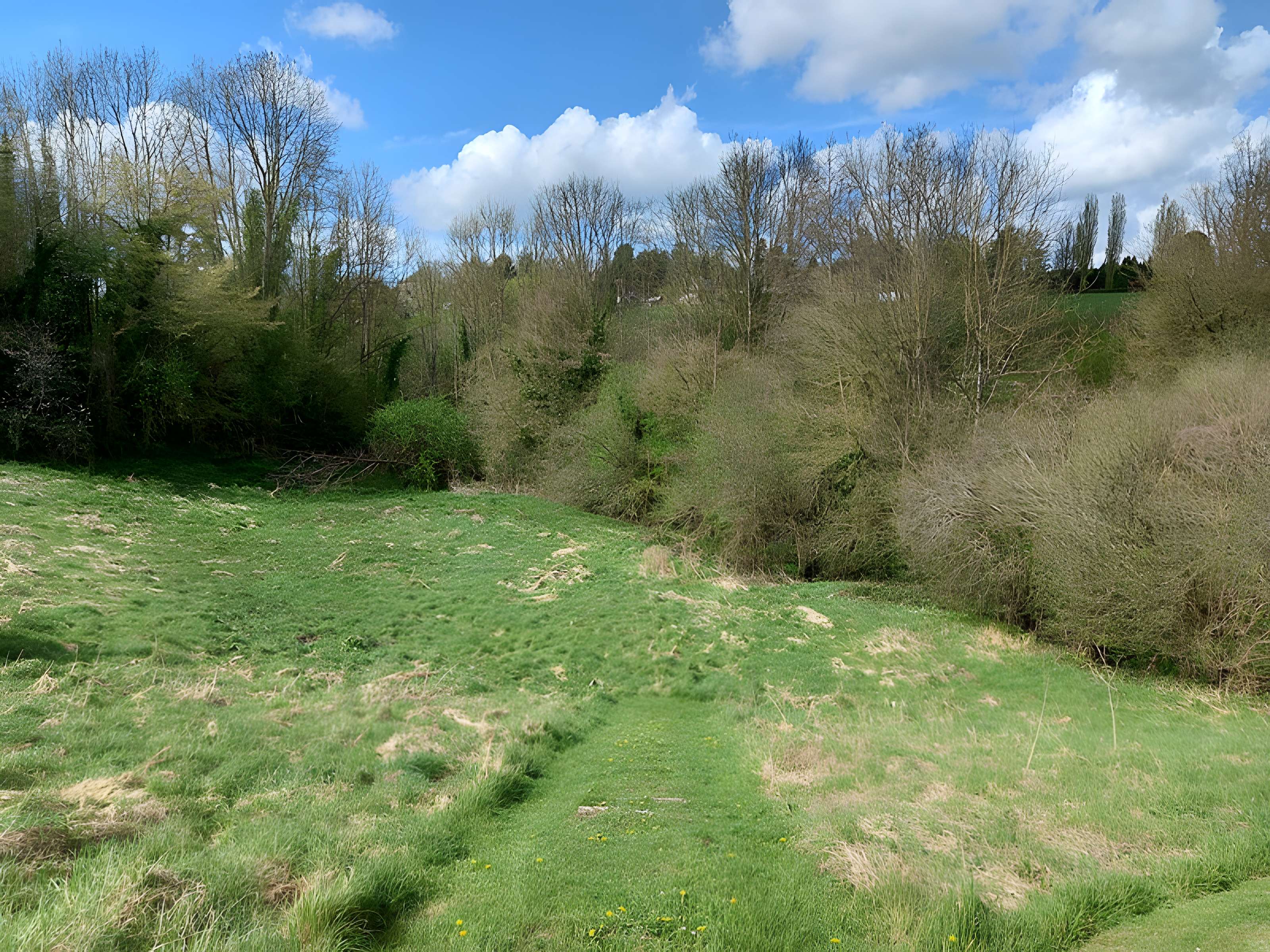 Théâtre amphithéâtre ou amphithéâtre