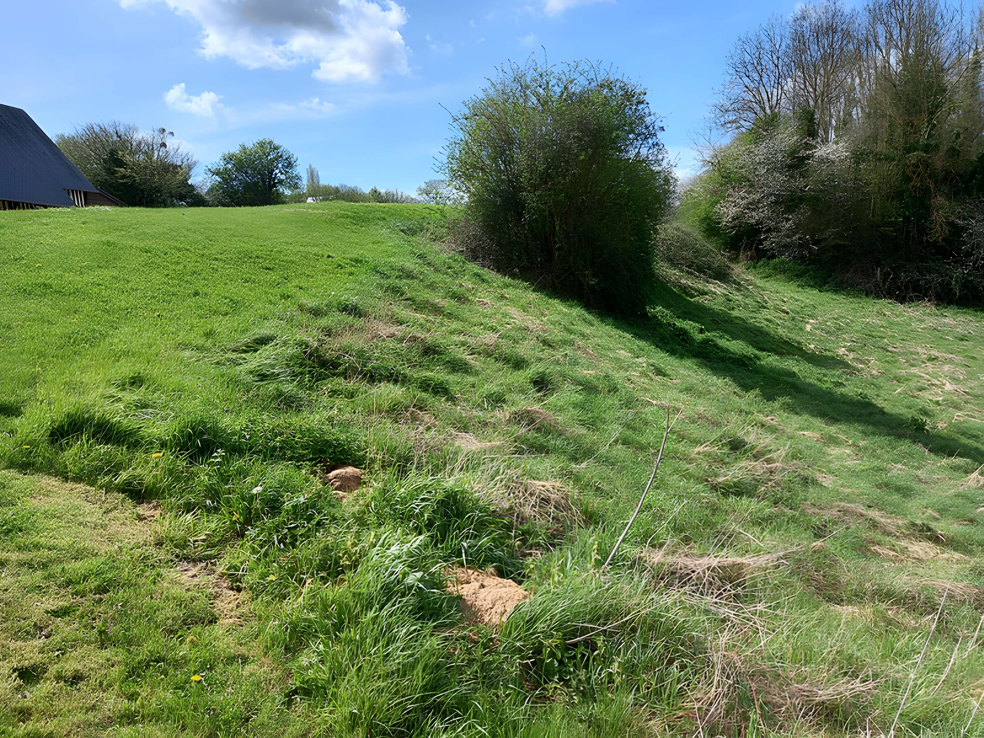 Théâtre amphithéâtre ou amphithéâtre