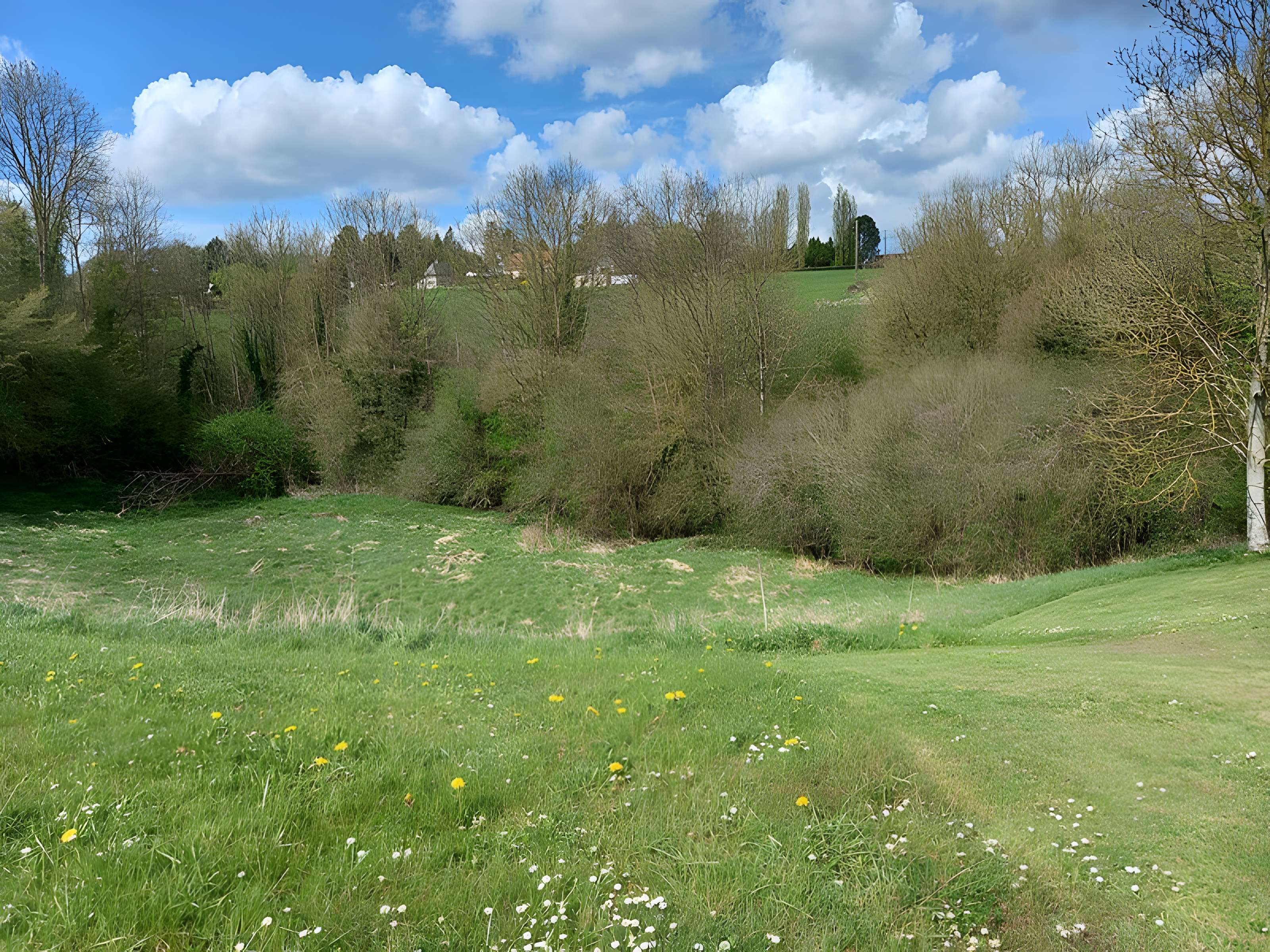 Théâtre amphithéâtre ou amphithéâtre
