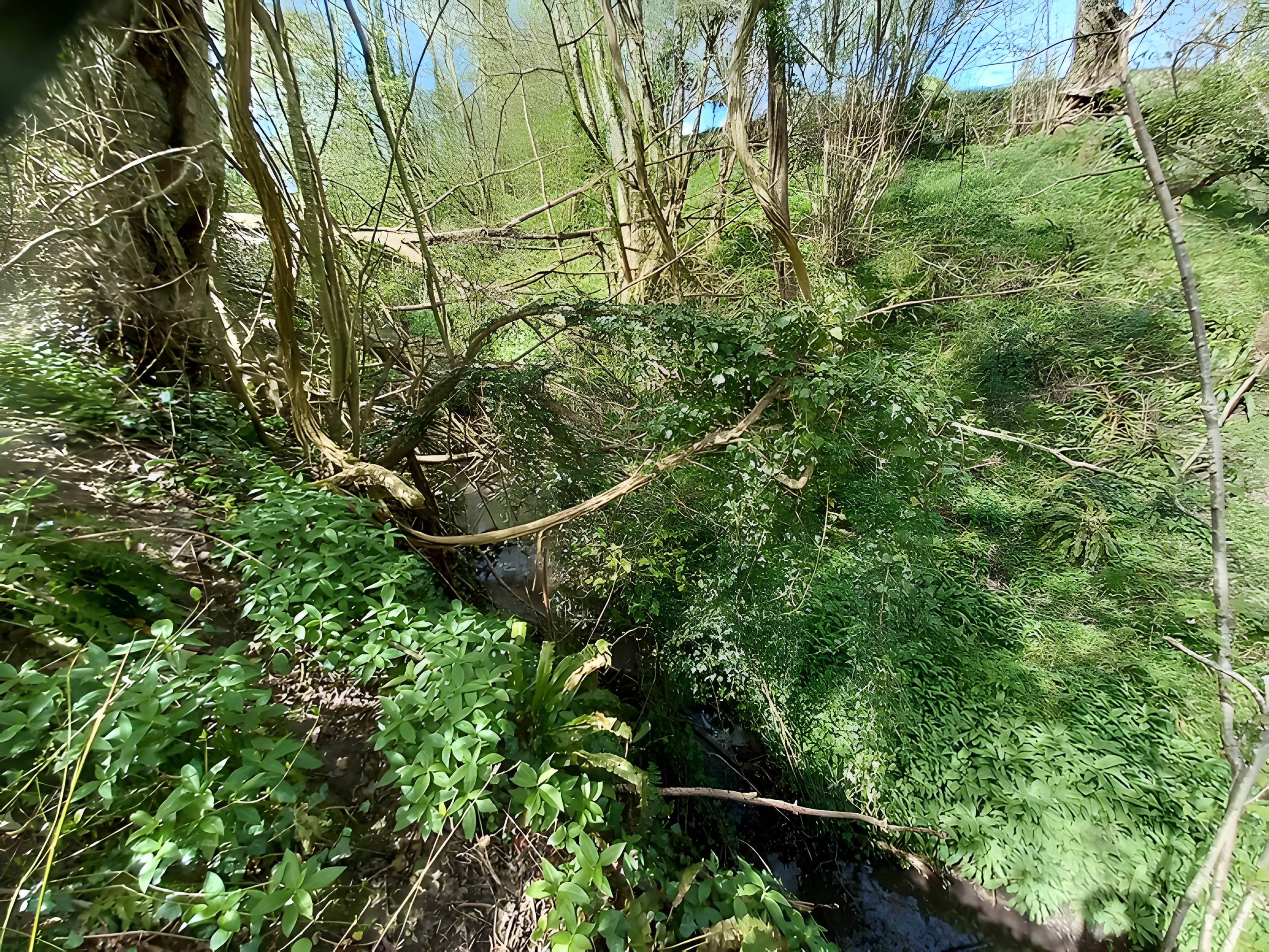 Théâtre amphithéâtre ou amphithéâtre
