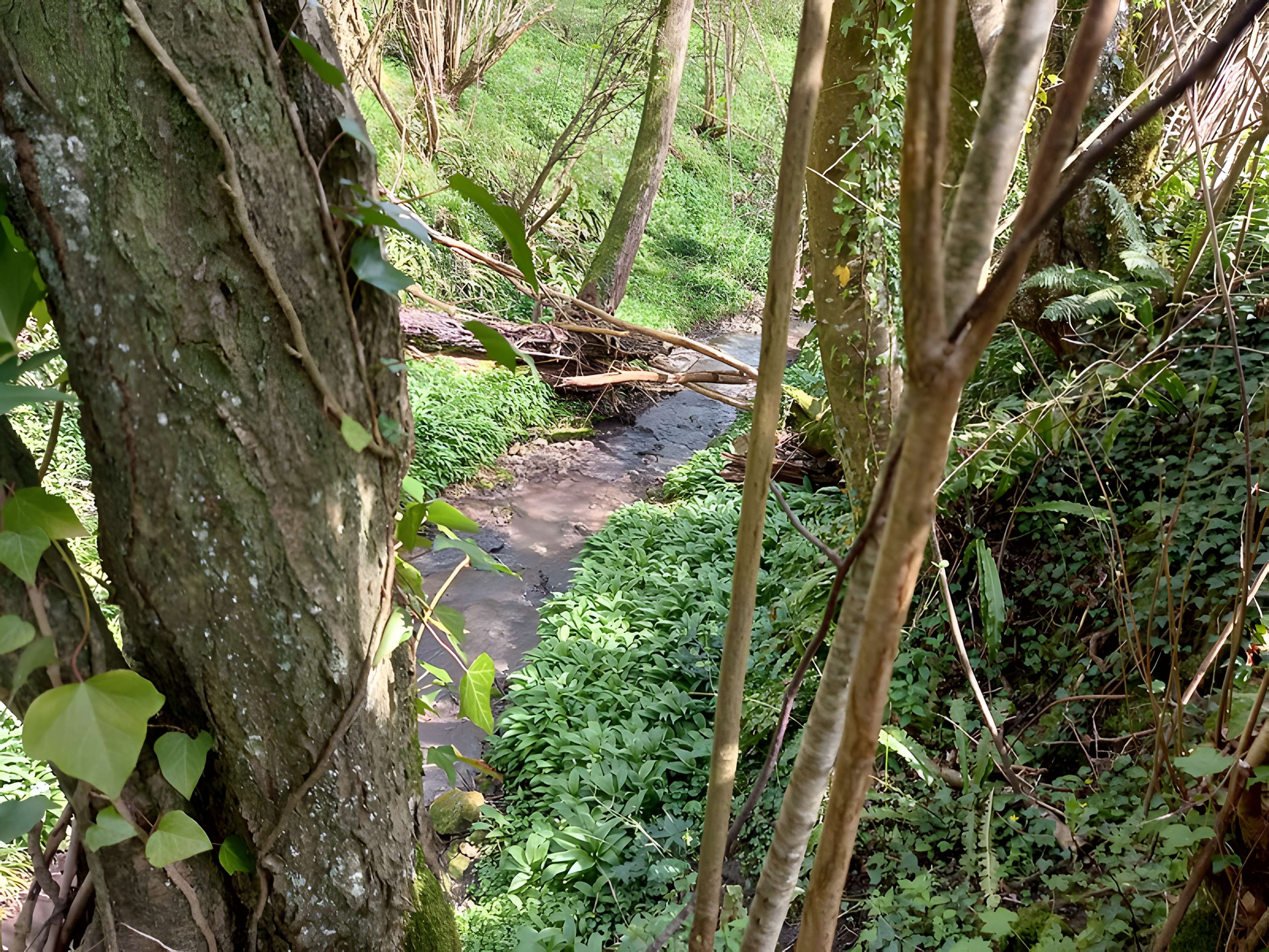 Théâtre amphithéâtre ou amphithéâtre