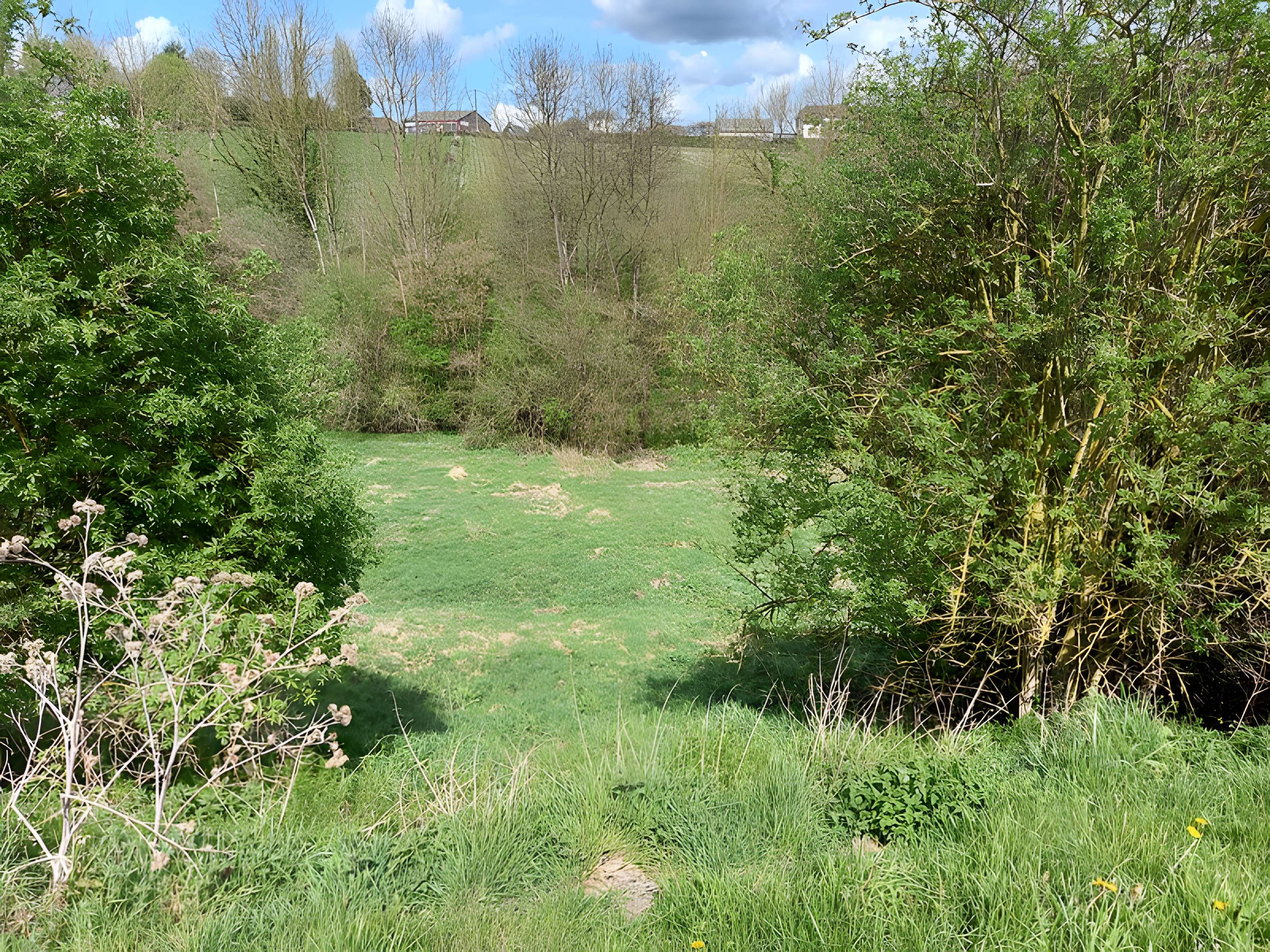 Théâtre amphithéâtre ou amphithéâtre