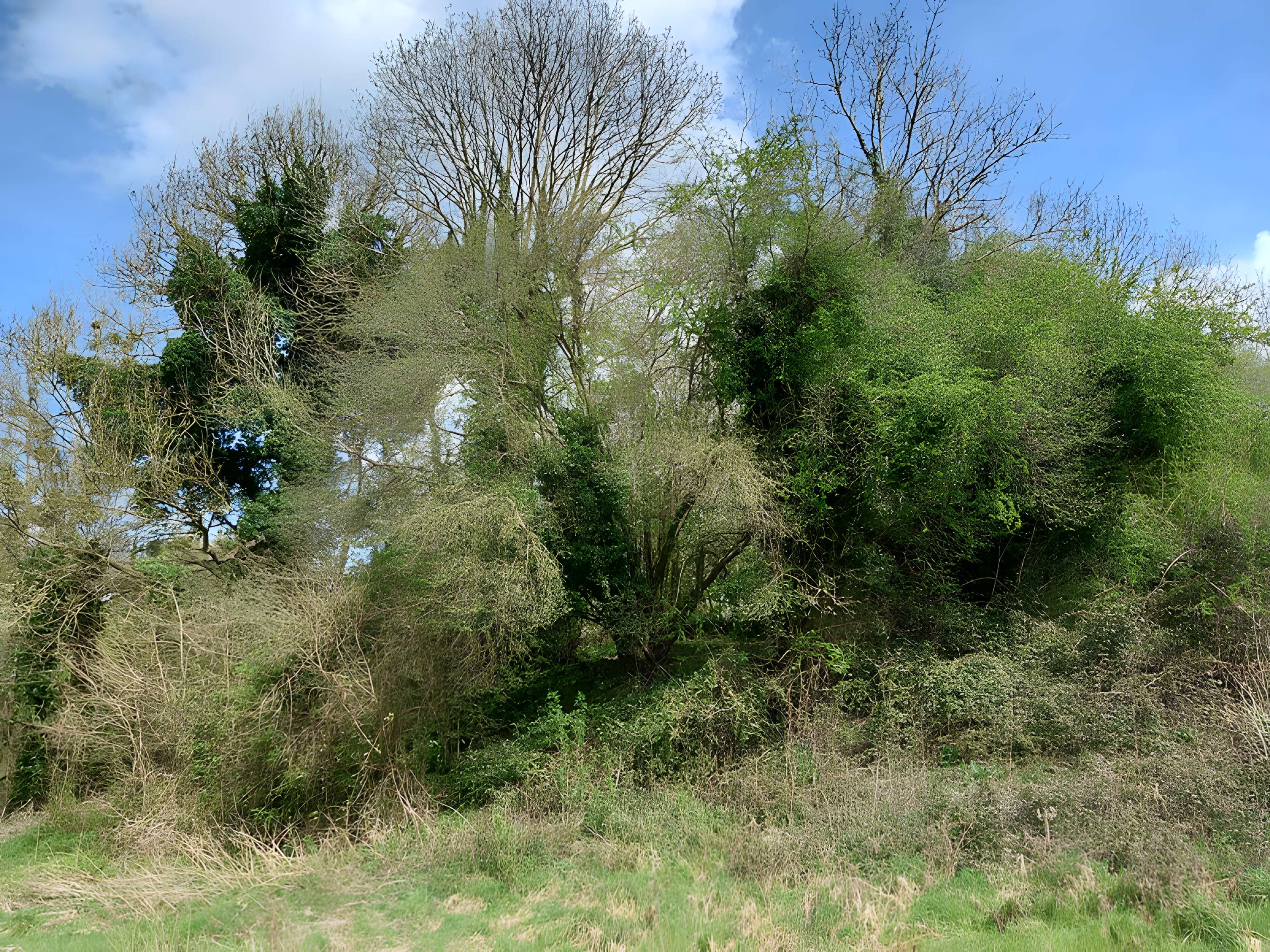 Théâtre amphithéâtre ou amphithéâtre