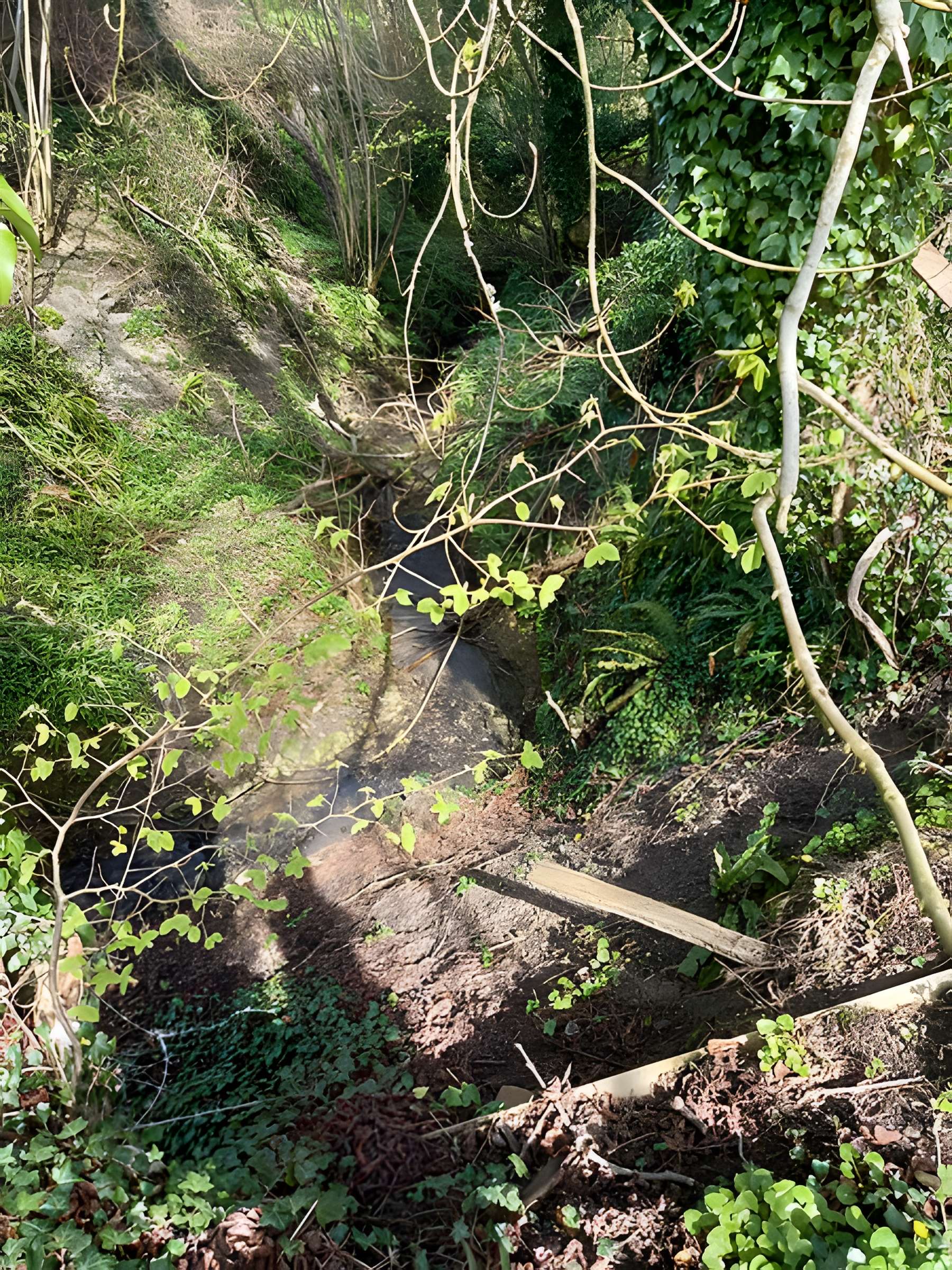 Théâtre amphithéâtre ou amphithéâtre