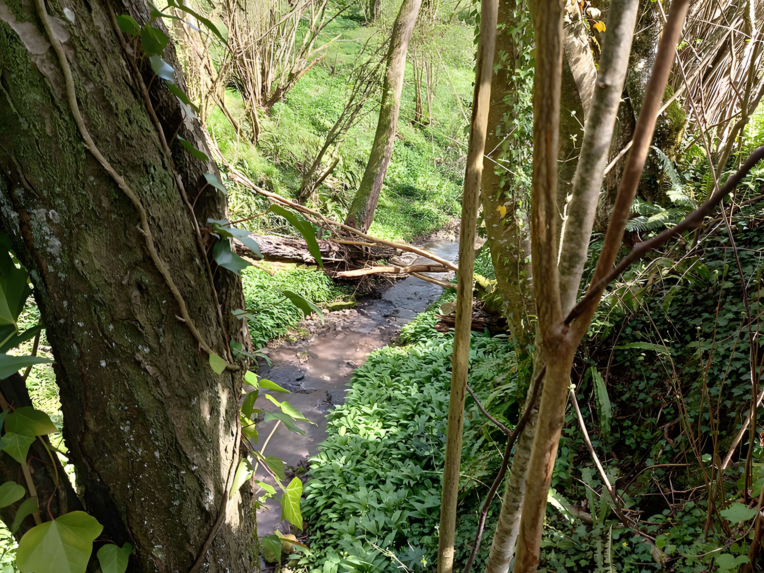 Théâtre amphithéâtre ou amphithéâtre