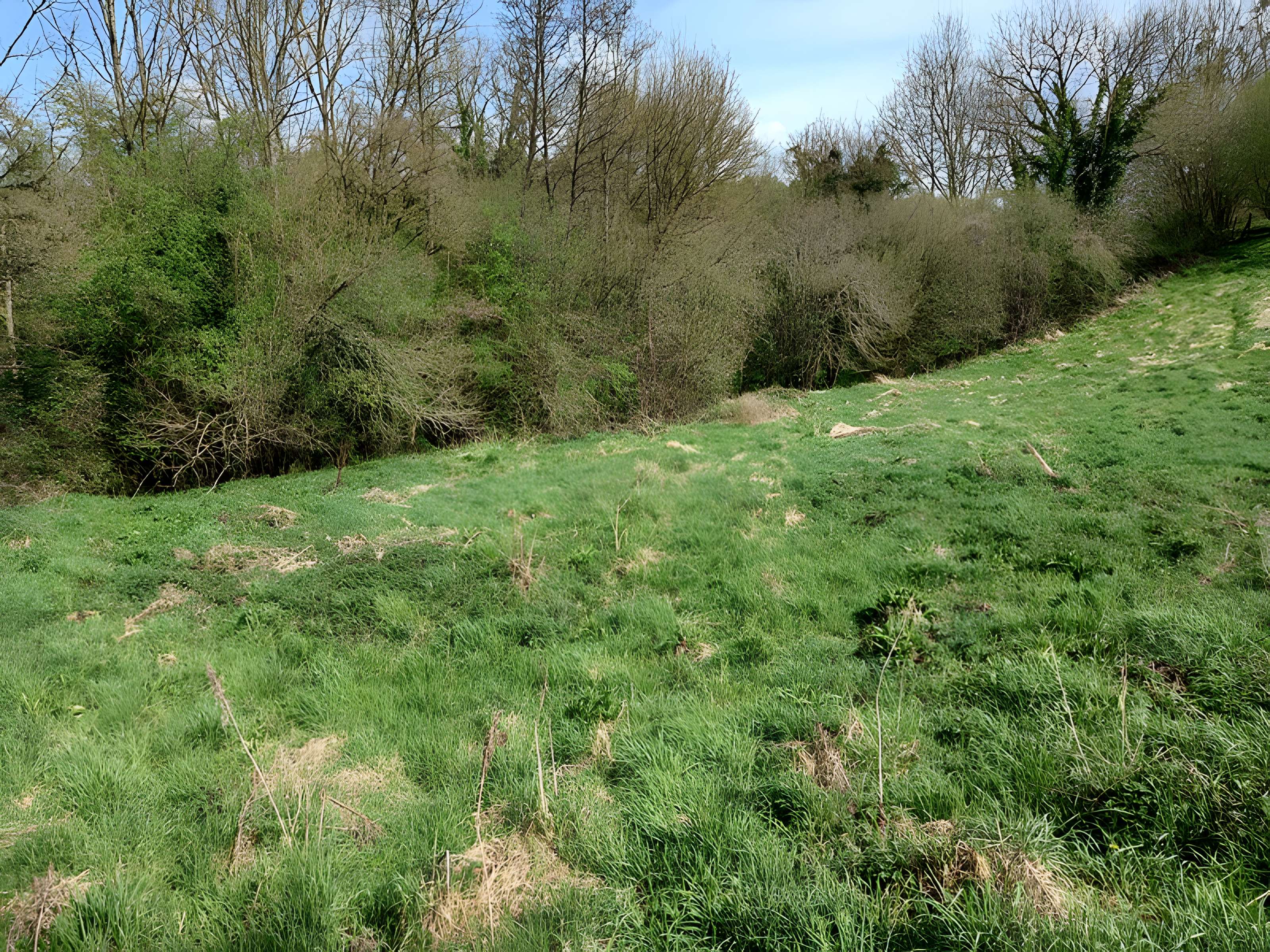 Théâtre amphithéâtre ou amphithéâtre