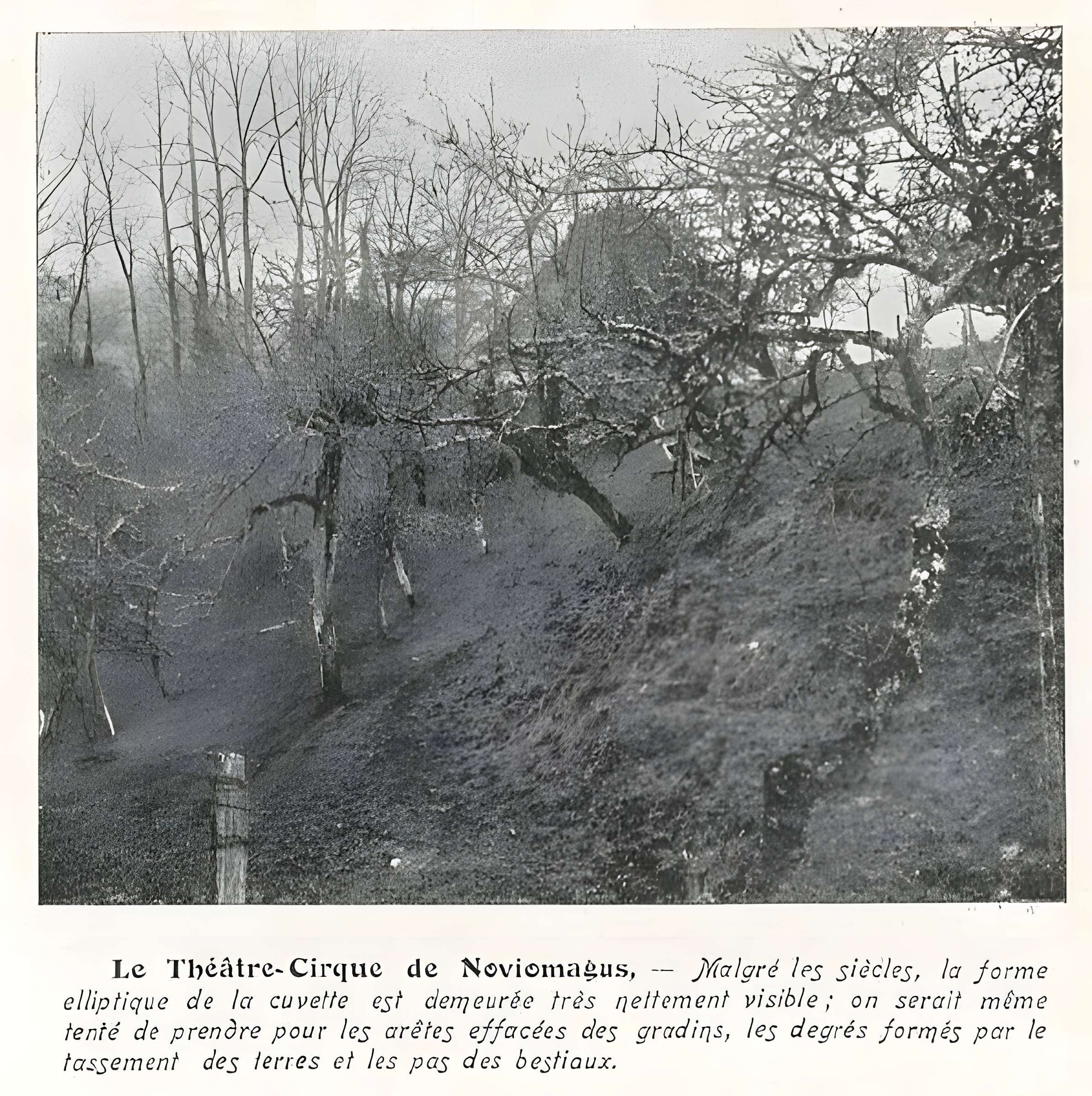 Théâtre amphithéâtre ou amphithéâtre