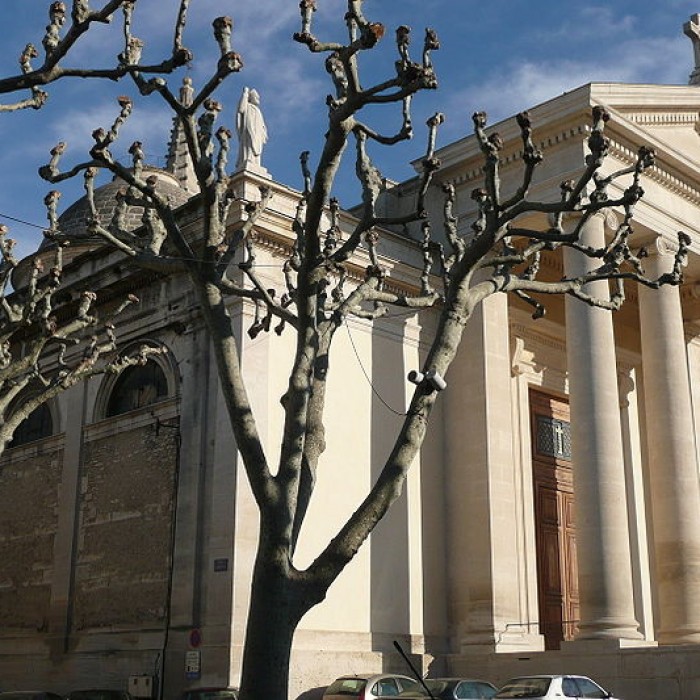 Photo de Collégiale Saint-Martin de Saint-Rémy-de-Provence