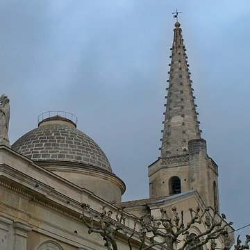 Collégiale Saint-Martin de Saint-Rémy-de-Provence